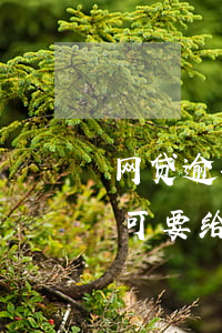网贷逾期扣罚息合法吗(网贷逾期猛涨的罚息可要给)
