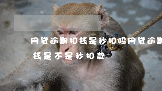网贷逾期扣钱是秒扣吗(网贷逾期后银行卡存钱是不是秒扣款)