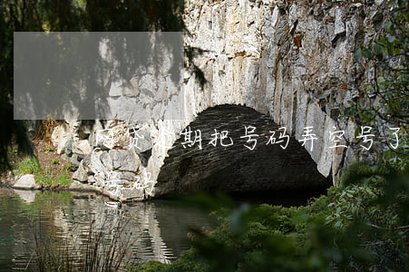 网贷逾期把号码弄空号了(网贷逾期后换了新号码)