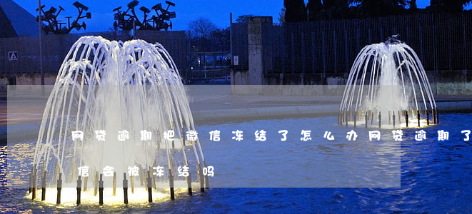 网贷逾期把微信冻结了怎么办(网贷逾期了微信会被冻结吗)