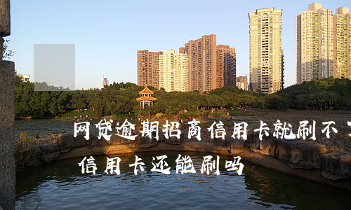 网贷逾期招商信用卡就刷不了了(网贷逾期了信用卡还能刷吗)