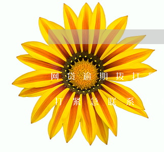 网贷逾期拨打紧急联系人违法吗(网贷逾期会打紧急联系人吗)