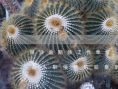 网贷逾期换工作单位-网贷逾期换新工作了办入职,催债的能查到吗