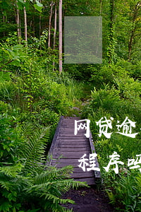 网贷逾期提交司法局调解(网贷逾期会走司法程序吗)