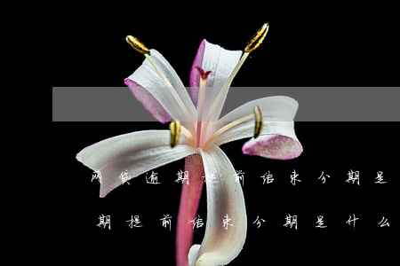 网贷逾期提前结束分期是什么意思-网贷逾期提前结束分期是什么意思啊