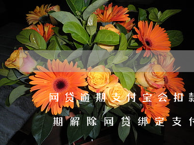 网贷逾期支付宝会扣款吗(支付宝显示网贷逾期解除网贷绑定支付宝还会逾期吗?)