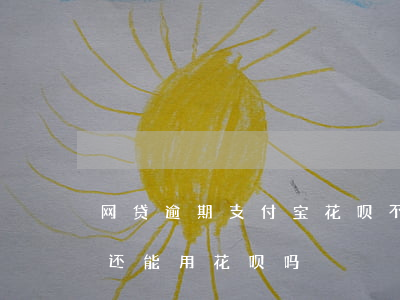 网贷逾期支付宝花呗不能用了(支付宝逾期了还能用花呗吗)