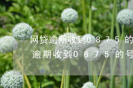网贷逾期收到0875的号码是什么-网贷逾期收到0875的号码是什么意思