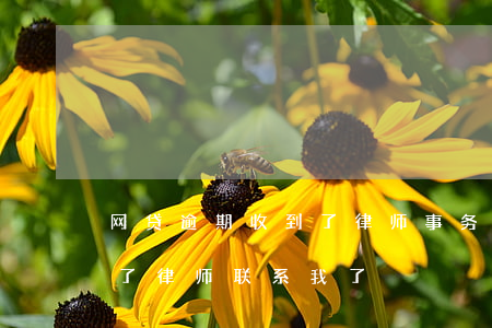 网贷逾期收到了律师事务所的信息(网贷逾期了律师联系我了)