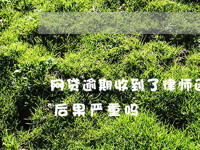 网贷逾期收到了律师函(网贷逾期律师函来了后果严重吗)