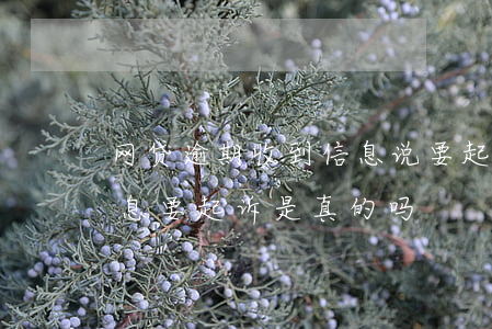 网贷逾期收到信息说要起诉(网贷逾期收到信息要起诉是真的吗)