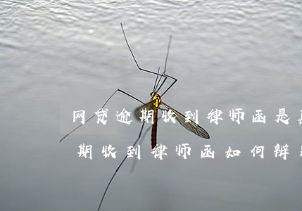网贷逾期收到律师函是真的还是假的（网贷逾期收到律师函如何辨别真假）