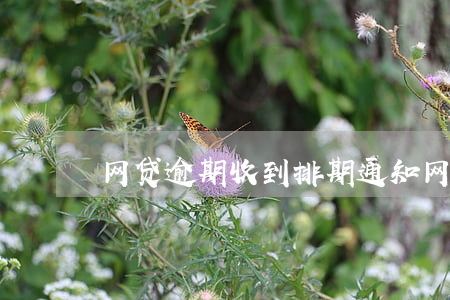 网贷逾期收到排期通知(网贷逾期收到通告函)