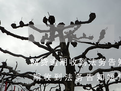 网贷逾期收到法务告知短信怎么办-网贷逾期收到法务告知短信怎么办呢