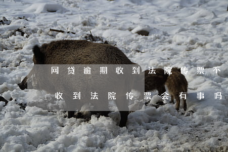 网贷逾期收到法院传票不理会怎样 网贷不还收到法院传票会有事吗