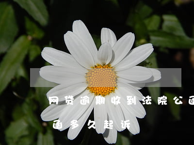 网贷逾期收到法院公函(网贷逾期收到了律师函多久起诉)