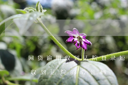 网贷逾期收到法院登录短信验证码(网贷逾期收到法院的验证码)