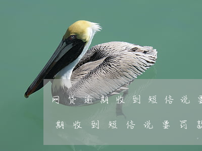 网贷逾期收到短信说要罚款10万-网贷逾期收到短信说要罚款10万是真的吗