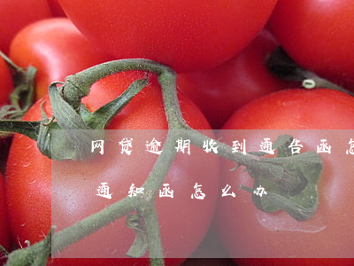 网贷逾期收到通告函怎么处理(网贷逾期收到通知函怎么办)