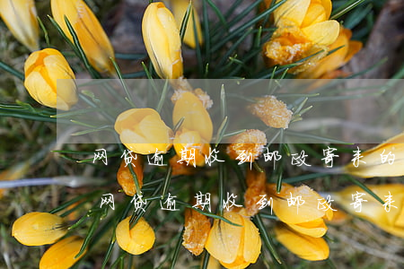 网贷逾期收到邮政寄来的邮件可以拒收吗-网贷逾期收到邮政寄来的邮件可以拒收吗