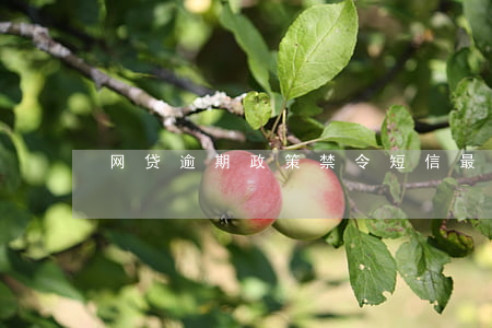 网贷逾期政策禁令短信(最新网贷新闻政策)