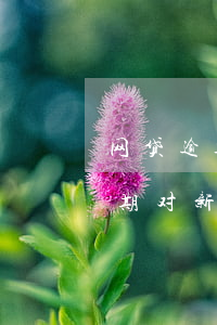 网贷逾期新工作交保险还能找到吗-网贷逾期对新工作五险一金有影响吗