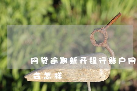 网贷逾期新开银行账户(网上银行贷款逾期了会怎样?)