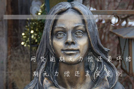 网贷逾期无力偿还最坏结果小短片-网贷逾期无力偿还真实案例