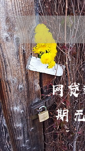 网贷逾期无力偿还正确的应对方式-网贷逾期无力偿还正确的应对方式是什么