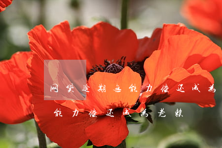 网贷逾期无能力偿还成为老赖-网贷逾期无能力偿还成为老赖