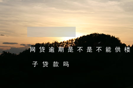 网贷逾期是不是不能供楼(有网贷逾期还能房子贷款吗)