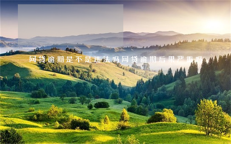 网贷逾期是不是违法吗(网贷逾期后果严重吗)