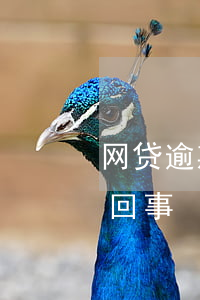 网贷逾期是否存在利滚利(网贷利滚利是怎么回事)
