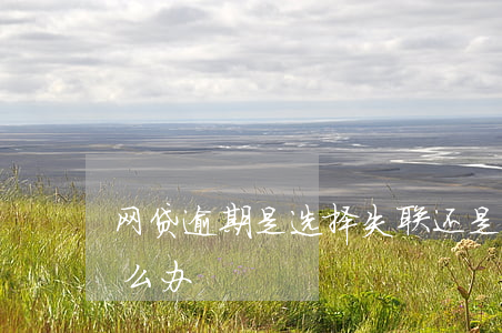 网贷逾期是选择失联还是(欠网贷失联了会怎么办)