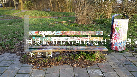 网贷逾期最后可以免息吗(网贷逾期利息可以不还吗)