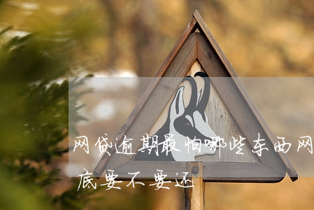 网贷逾期最怕哪些东西(网贷逾期会怎么样,到底要不要还)
