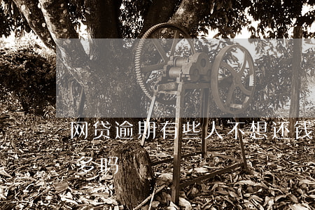 网贷逾期有些人不想还钱(网贷逾期不还的人多吗)
