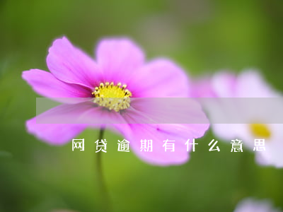 网贷逾期有什么意思