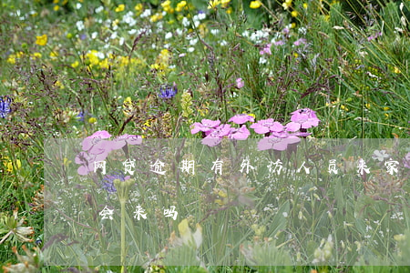 网贷逾期有外访人员来家(逾期外访人员真的会来吗)