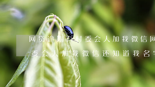 网贷逾期有村委会人加我微信(网贷逾期有村委会人加我微信还知道我名字)