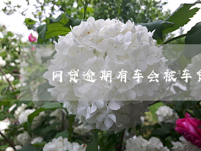 网贷逾期有车会被(车贷有网贷逾期可以过吗?)