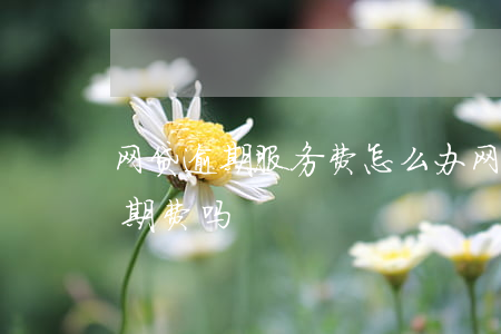 网贷逾期服务费怎么办(网贷逾期可以不给逾期费吗)