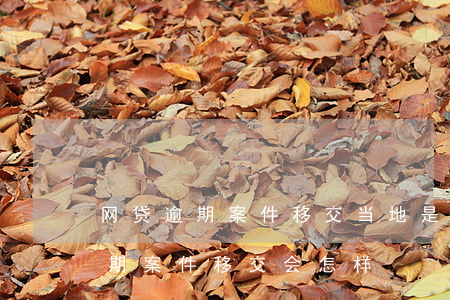 网贷逾期案件移交当地是什么意思-网贷逾期案件移交会怎样