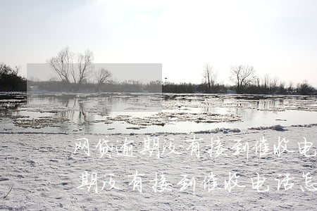 网贷逾期没有接到催收电话怎么办-网贷逾期没有接到催收电话怎么办呢
