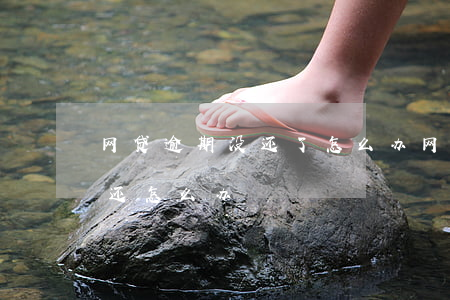 网贷逾期没还了怎么办(网贷全面逾期,真没钱还怎么办)