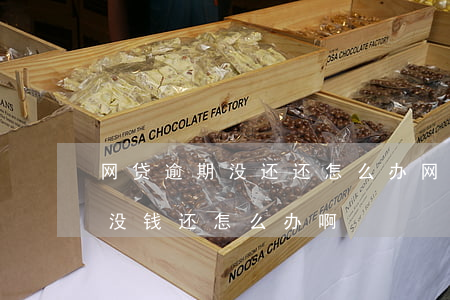 网贷逾期没还还怎么办(网贷逾期了一年多了没钱还怎么办啊)