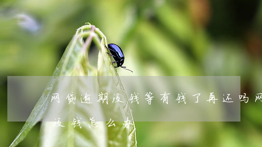 网贷逾期没钱等有钱了再还吗（网贷逾期真的没钱怎么办）