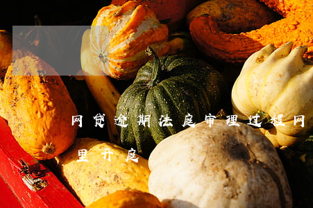 网贷逾期法庭审理过程(网贷逾期被起诉在哪里开庭)