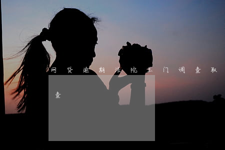 网贷逾期法院上门调查取证(网贷逾期上门核查)