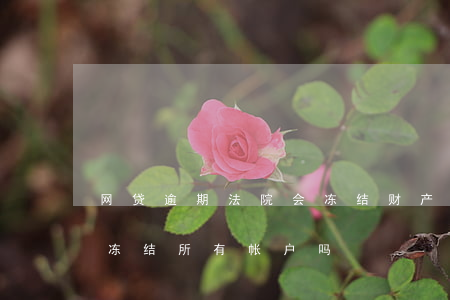 网贷逾期法院会冻结财产吗(网贷逾期法院会冻结所有帐户吗)